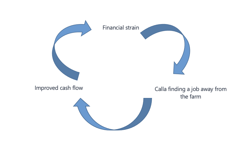 Cash Flow Management Loop