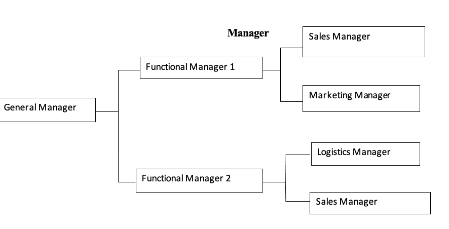 Diagram Showing Sales Manage Reporting to More than one Functional 