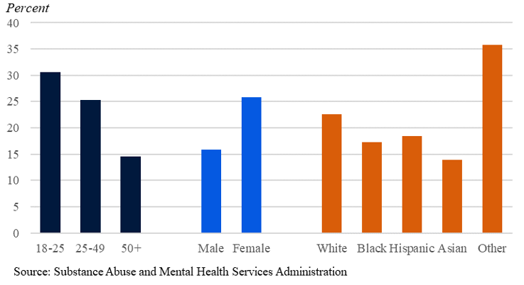 Percent of the Adult Population with Any Mental Illness in 2020, by Demographic Group.