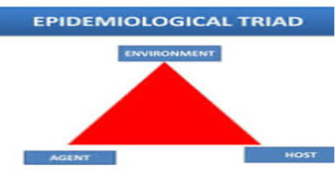  Epidemiologic Triangle