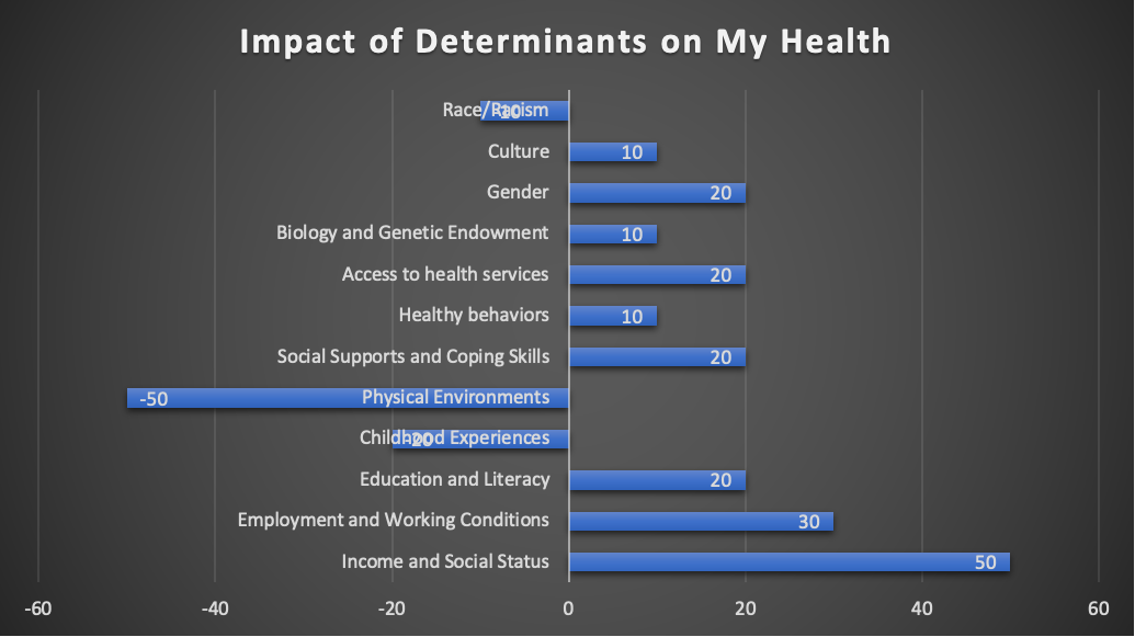 1. Visual Representation of the Impacts of Determinants on Health 