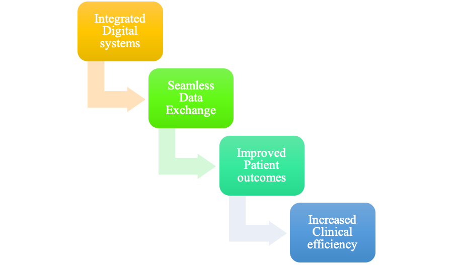 newly integrated digital systems would enable seamless data exchange and hand-offs between staff and institutions involved 