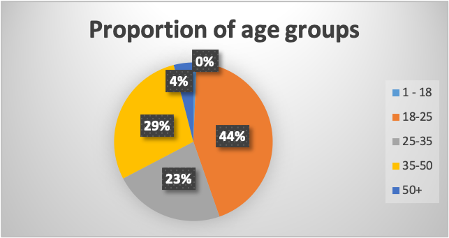 A pie chart showing the proportion of respondents based on age group.