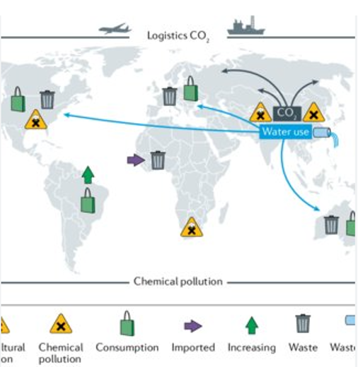 The global environmental impact of the fashion industry