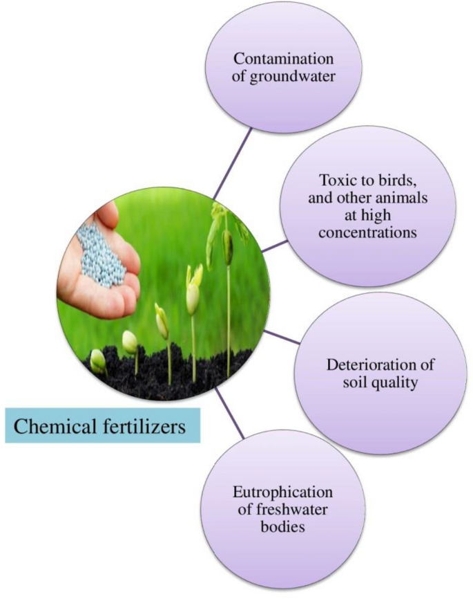 Chemical fertilizers and their impact on soil health