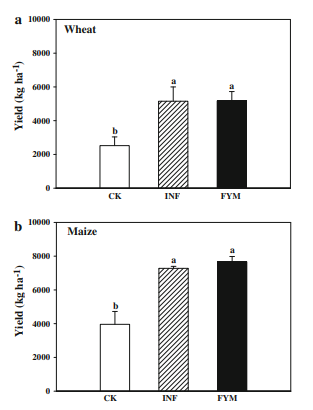 Effects of Farmyard Manure (FYM) and Inorganic Fertilizers (INF) on crop yield