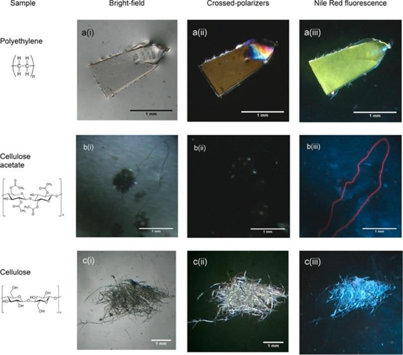 The use of optical microscopy in visualizing microplastics in environmental samples