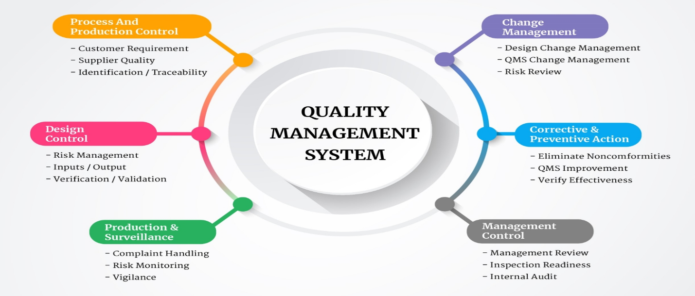 Quality Management System (QMS) Structure