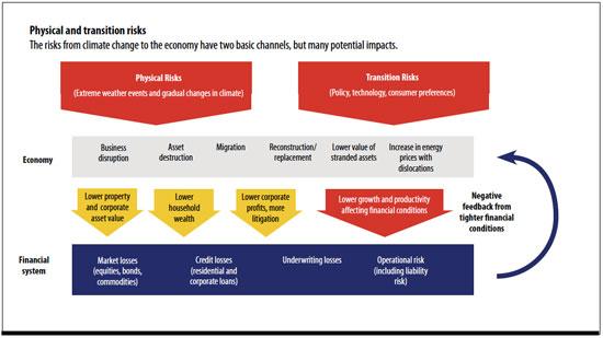 The two Types of Climate Risks