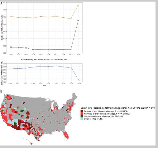 Mortality rates 