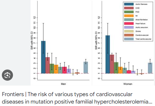 The risks of cardiovascular diseases 
