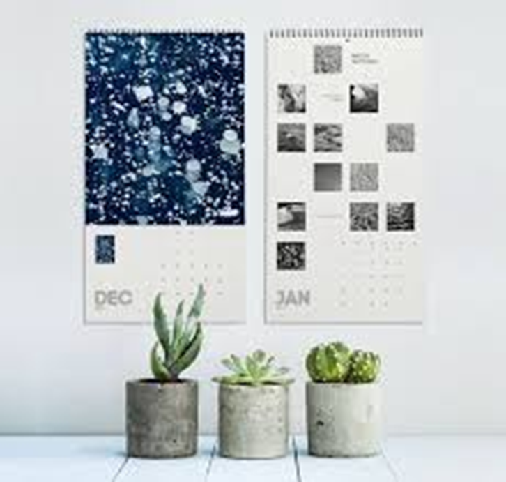 Minimalist wall calendars for December and January hanging above concrete succulent planters. Modern home office decor