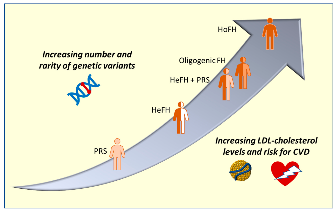 Number and rarity pf genetic variations 