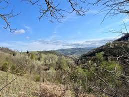 Scenic view of a lush green valley in early spring, framed by tree canopy. Hiking destination in European countryside hills