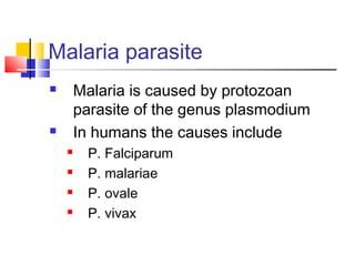 Malaria parasites