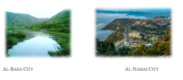 Al-Baha City 